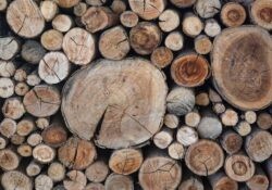 bois de chauffage